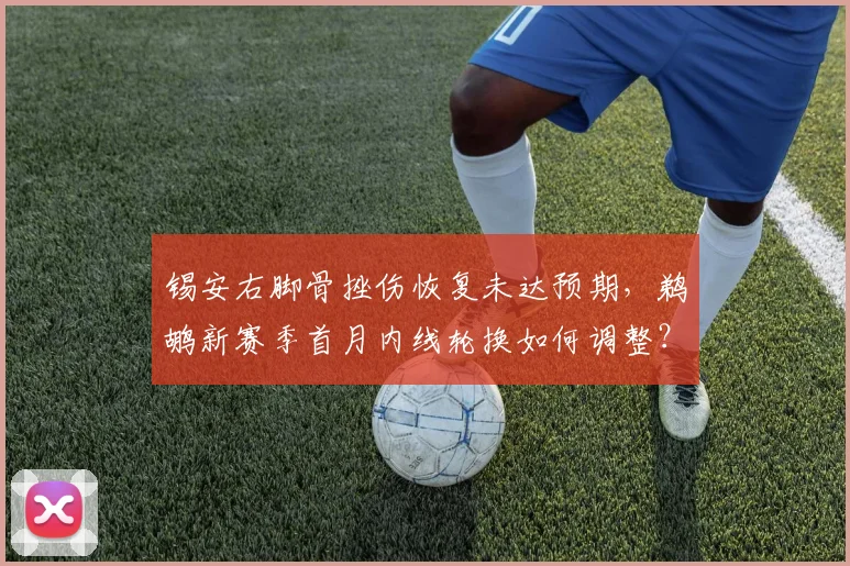 锡安右脚骨挫伤恢复未达预期，鹈鹕新赛季首月内线轮换如何调整？